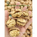 best service Walnut Kernels Light Pieces